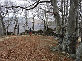 Prima di scendere a Ompio decidiamo di visitare l'alpe Casarecce......(Bivio sul sentiero per Ompio)